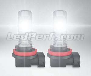 Ampoules LED H11 et Kits LED H11 Haute Puissance 12V et 24V